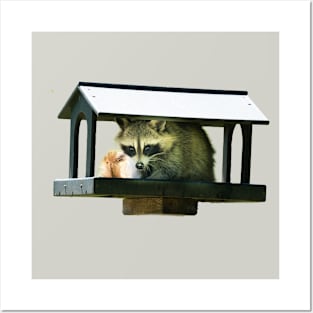 Raccoon Posters and Art